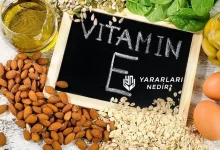 E-Vitaminin-Faydaları